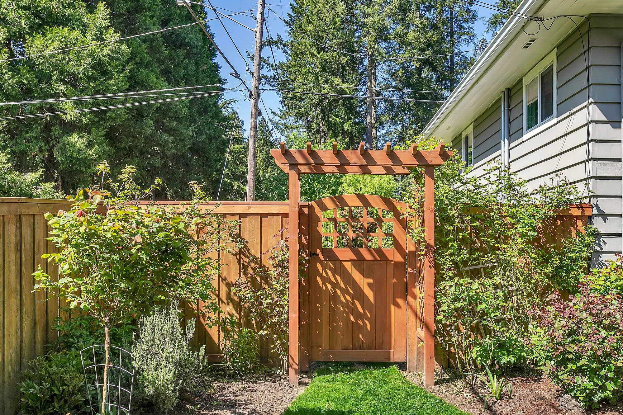 Relandscaped Hemlock backyard with a cedar arbor and gate, rose beds and mature Pacific Northwest firs in Hillsboro
